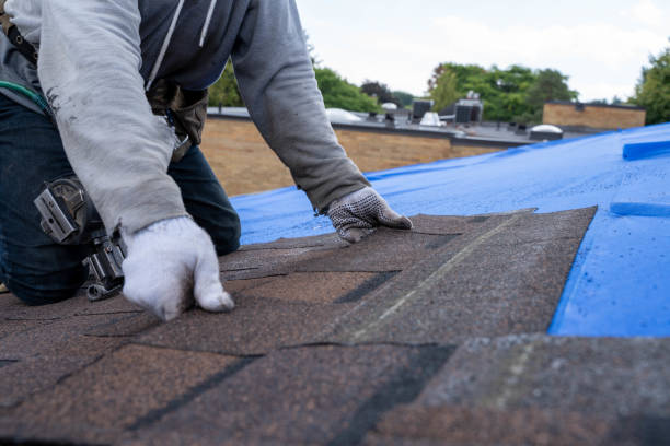 Roof Installation Near Me in Webster Groves, MO